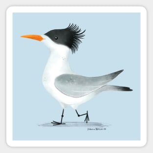 Sandwich Tern Magnet